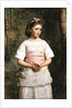 Dropped from the Nest by John Everett Millais