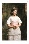 Dropped from the Nest by John Everett Millais