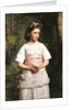 Dropped from the Nest by John Everett Millais
