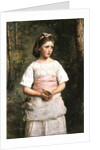 Dropped from the Nest by John Everett Millais