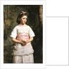 Dropped from the Nest by John Everett Millais