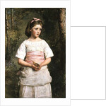 Dropped from the Nest by John Everett Millais