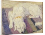 Sleeping Dog, 1909 by Franz Marc