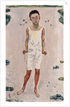 Enchanted Boy; Bezauberter knabe, 1909 by Ferdinand Hodler