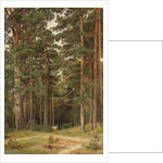 A Summer Day, Merikiul, 1895 by Ivan Ivanovich Shishkin