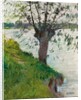 Willow by the River; Saule au bord de la riviere, c. 1891 by Gustave Caillebotte