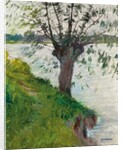 Willow by the River; Saule au bord de la riviere, c. 1891 by Gustave Caillebotte