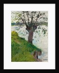 Willow by the River; Saule au bord de la riviere, c. 1891 by Gustave Caillebotte