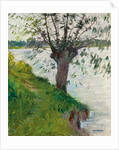 Willow by the River; Saule au bord de la riviere, c. 1891 by Gustave Caillebotte
