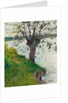 Willow by the River; Saule au bord de la riviere, c. 1891 by Gustave Caillebotte