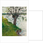 Willow by the River; Saule au bord de la riviere, c. 1891 by Gustave Caillebotte