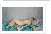 Nude on Leopard Skin, Le Cannet, 1926 by Henri Lebasque