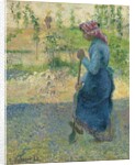 Peasant Digging; Paysanne bechant, 1882 by Camille Pissarro