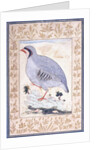 A Red-legged Partridge, c. mid 17th century by Persian School