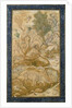 The King of the Forest, c.1600-1610 by Indian School