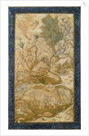 The King of the Forest, c.1600-1610 by Indian School