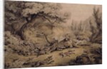 Wild Dogs Attacking a Tiger by Samuel Howitt