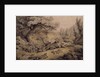 Wild Dogs Attacking a Tiger by Samuel Howitt