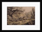 Wild Dogs Attacking a Tiger by Samuel Howitt