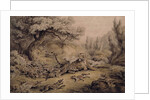 Wild Dogs Attacking a Tiger by Samuel Howitt