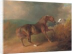 Colonel Thornton's Jupiter, by Eclipse out of a Mare by Tartar, by a Fence, with a Grey Mare, at Thornville Royal, 1792 by Sawrey Gilpin