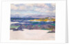The Shoreline, Iona by Francis Campbell Boileau Cadell