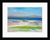 The View of the White Sands, Iona by Francis Campbell Boileau Cadell