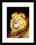 The Head of a Lion, by Geza Vastagh