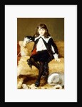 Portrait of a Boy, seated full length, on a Sofa Draped with a Lion Skin by Geza Vastagh
