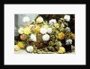 Chrysanthemums in a Basket, 19th century by August Pollak