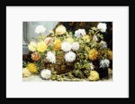 Chrysanthemums in a Basket, 19th century by August Pollak