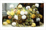 Chrysanthemums in a Basket, 19th century by August Pollak