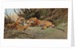 Tigers at Dawn, 1913 by Wilhelm Kuhnert