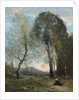 Peasant Woman Collecting Wood, Italy, c. 1870-2 by Jean Baptiste Camille Corot