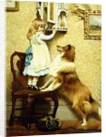 Little Girl and her Sheltie, 1892 by Charles Burton Barber