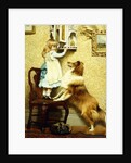 Little Girl and her Sheltie, 1892 by Charles Burton Barber