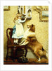 Little Girl and her Sheltie, 1892 by Charles Burton Barber