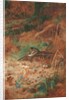 A Woodcock and Chick in Undergrowth, 1905 by Archibald Thorburn