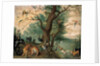Animals and birds in the Garden of Eden by Ferdinand van Kessel