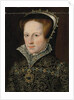 Portrait of Mary I by English School