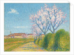 Arbes en Fleurs a l'Entree de Cailhavel, 1928 by Achille Lauge