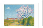 Arbes en Fleurs a l'Entree de Cailhavel, 1928 by Achille Lauge