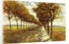 Tree-lined Avenue in Bremen, 1912 by Mario de Maria