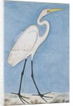 A Great Egret, Lucknow, c.1790 by Indian School