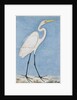 A Great Egret, Lucknow, c.1790 by Indian School