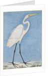 A Great Egret, Lucknow, c.1790 by Indian School