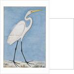 A Great Egret, Lucknow, c.1790 by Indian School