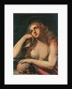The Penitent Magdalene by Ippolito Borghese
