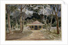 Caminho Velho, Rio de Janeiro, 1830 by Emeric Essex Vidal