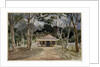 Caminho Velho, Rio de Janeiro, 1830 by Emeric Essex Vidal